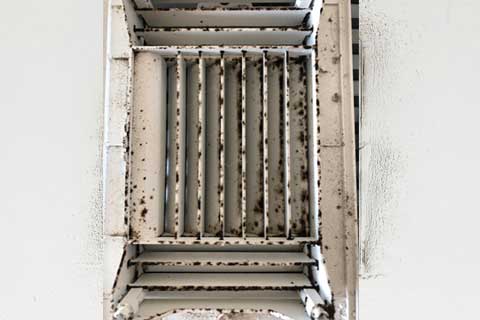 mold in air ducts can cause health and home issues